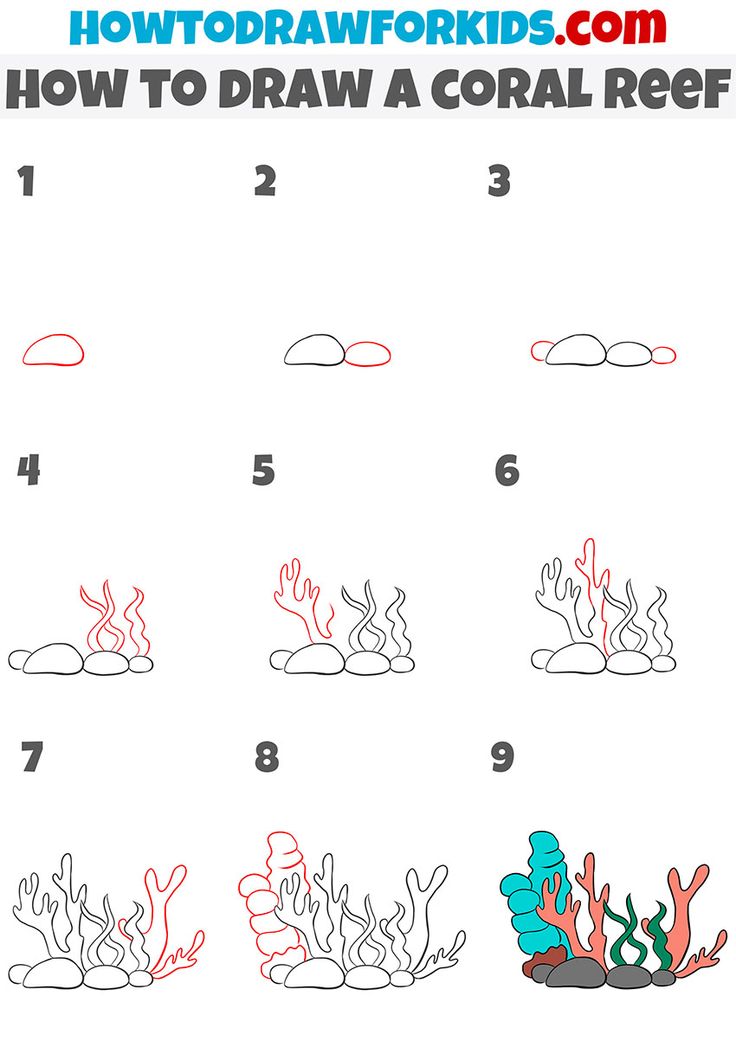 how to draw coral reef for kids