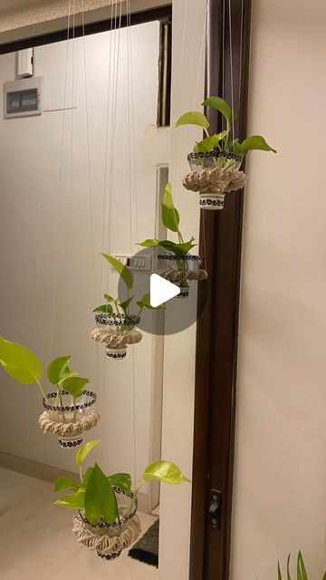 some plants are hanging from the side of a mirror