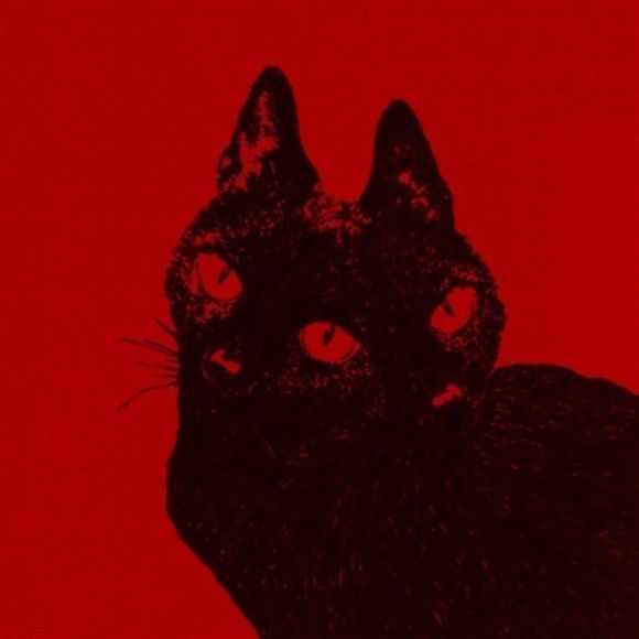 a black cat sitting in front of a red background