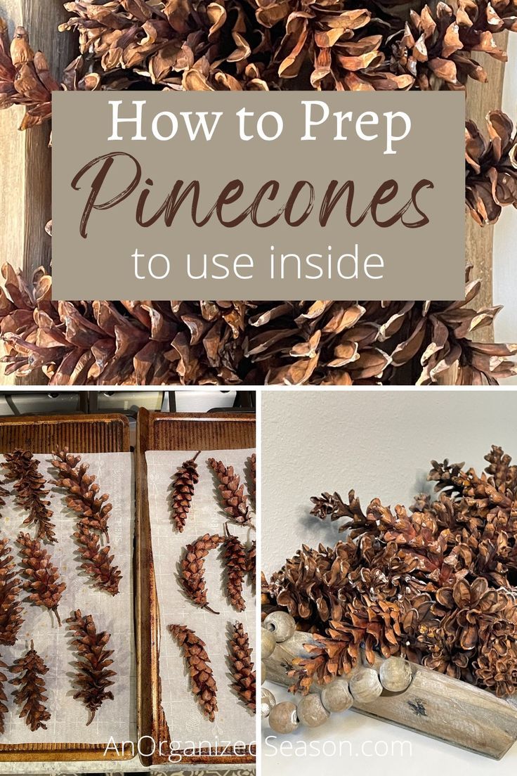 Pinecones on baking sheets and pinecones in a wood tray. How To Preserve Pinecones, Prepping Pinecones For Crafts, How To Dry Pinecones, How To Use Pinecones For Decor, Diy Fall Decor With Pinecones, How To Bake Pinecones For Crafts, How To Open Pinecones, Drying Pinecones In Oven, Cleaning Pinecones For Crafts