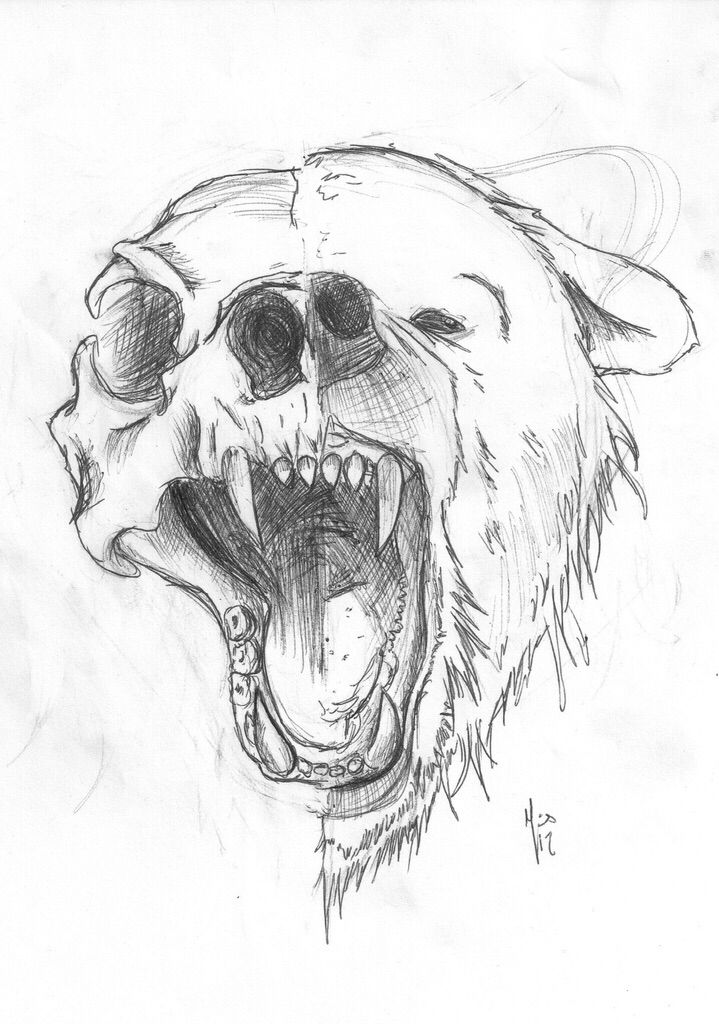 a drawing of a bear's head with it's mouth open and its teeth showing