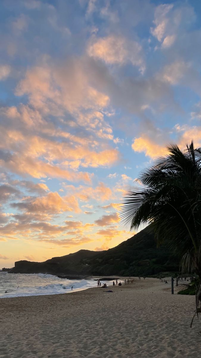 the sun is setting at the beach with palm trees