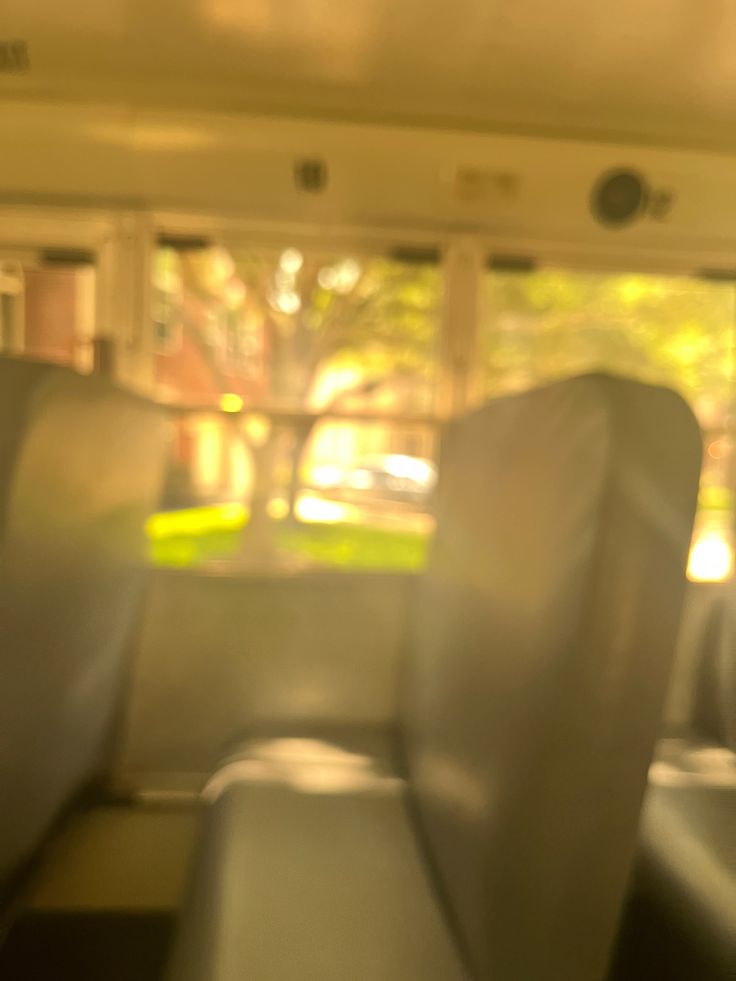 the back seats of a bus with trees in the background