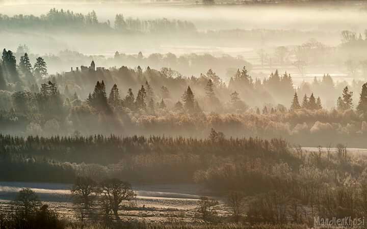 the sun shines through the foggy trees in this landscape photo taken from an overlook point