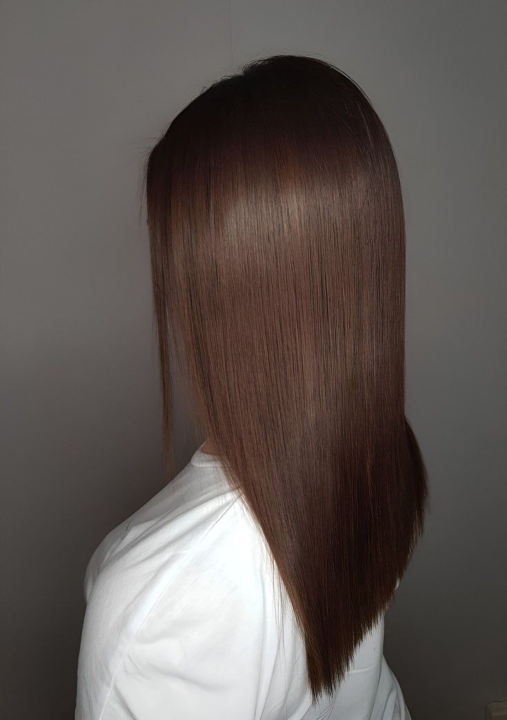 Cabello Color Chocolate Claro, Chocolate Brown Short Hair, Light Chocolate Brown Hair Color, Light Chocolate Brown Hair, Brown Hair Color Shades, Hair Ext, Pelo Cafe, Brown Straight Hair, Latina Hair