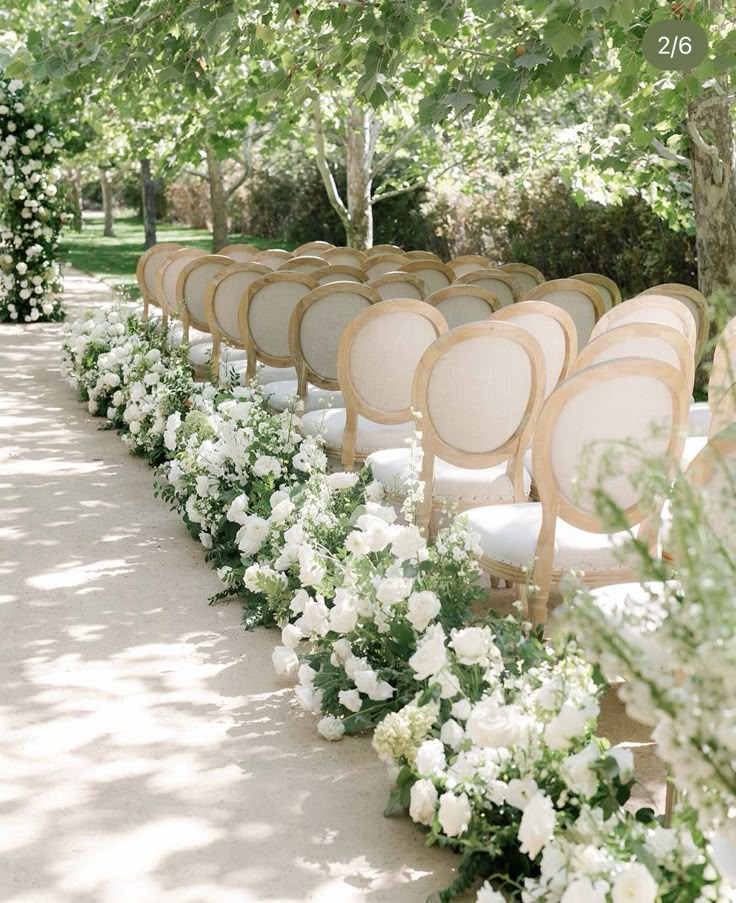 rows of chairs lined up with white flowers