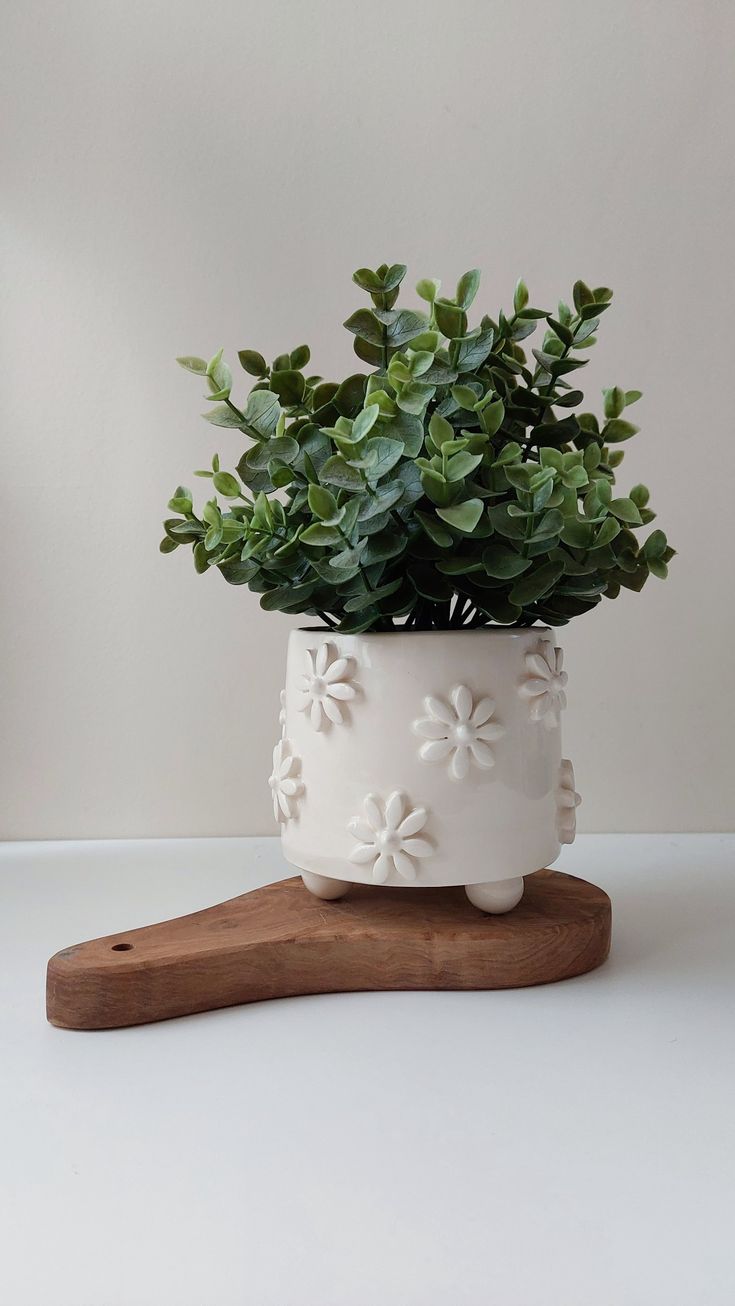 a potted plant sitting on top of a wooden board