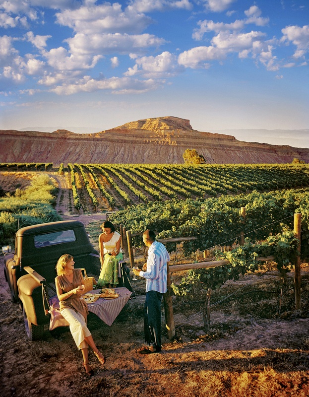 two people are sitting at a picnic table in the back of a pick up truck