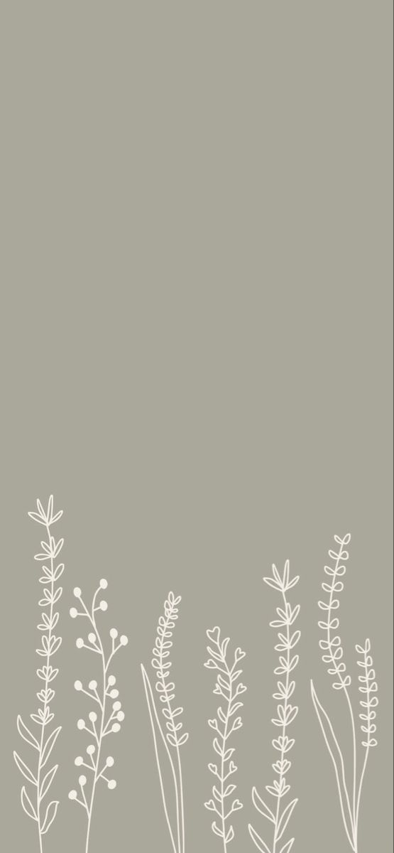 some white flowers on a gray background