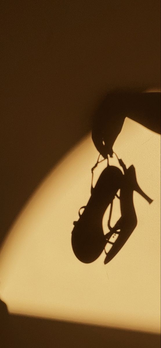 a shadow of a bug on the wall