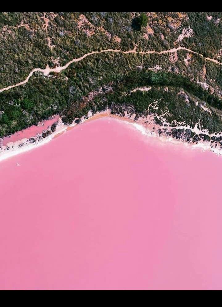 an aerial view of pink lake surrounded by trees