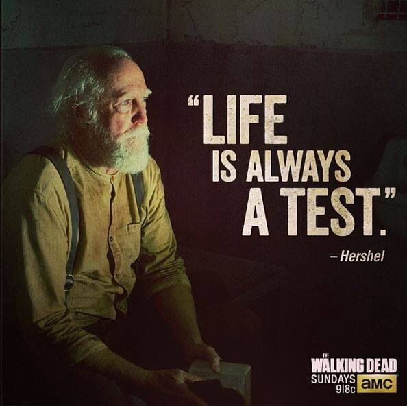 an old man sitting in a room with a quote about life is always a test