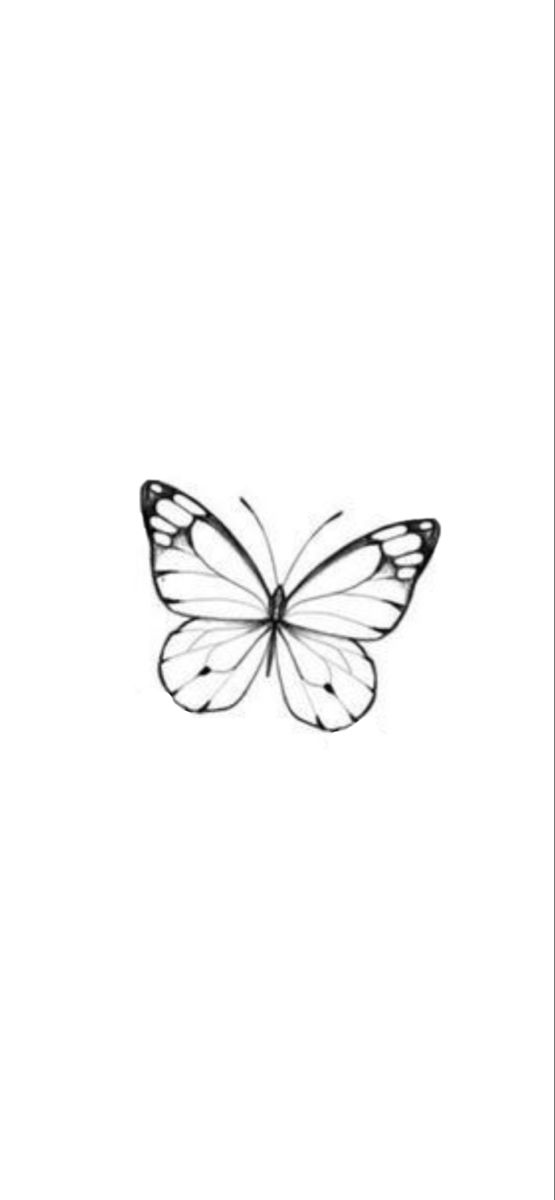 a black and white photo of a butterfly