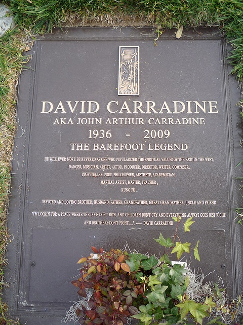 a plaque in the grass that reads david carradine