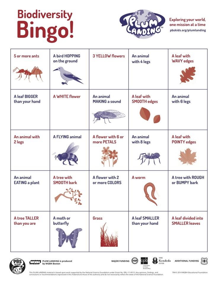 a game board with different types of bugs