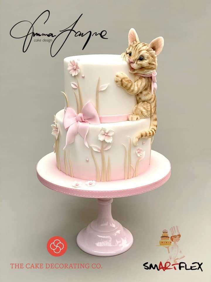 there is a cake decorated with a cat on it