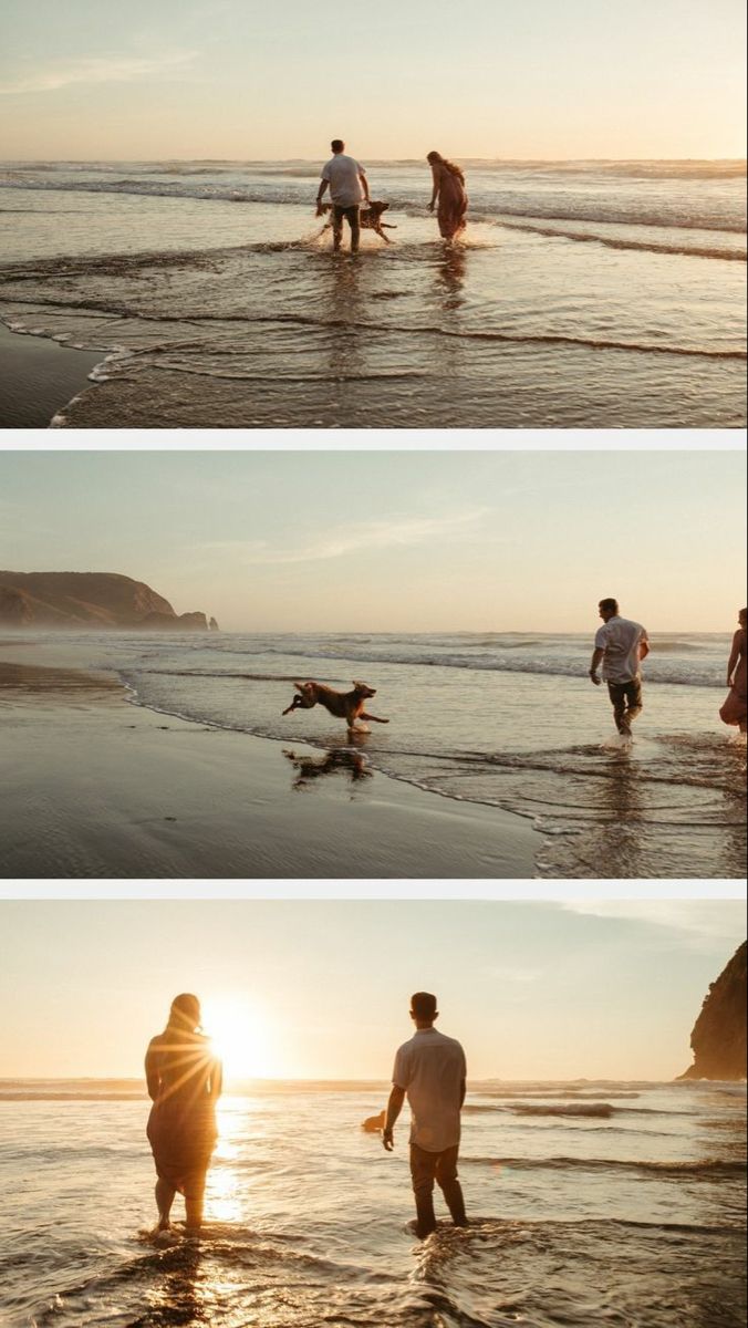 people walking on the beach at sunset with their dog running in the water and another person holding a surfboard