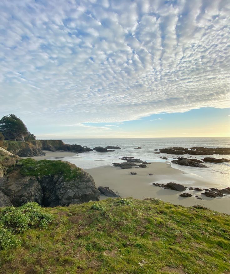 the beach is covered in green grass and rocks under a blue sky with wispy clouds