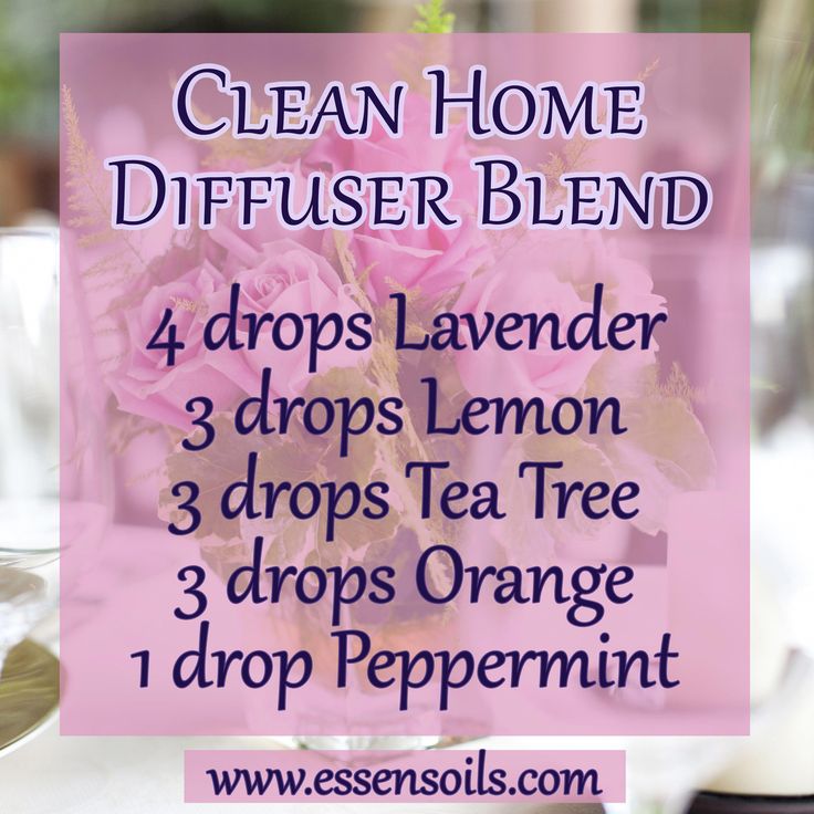 Room Freshener Essential Oils Diffuser, Air Purifying Essential Oil Blend, Air Purifying Diffuser Blend, Essential Oil Spray Recipes, Diffuse Essential Oils, Eo Blends, Home Diffuser, Essential Oil Perfumes Recipes, Essential Oil Combinations