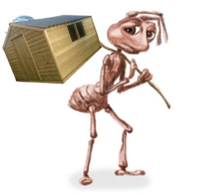 an ant carrying a wooden shed on its back