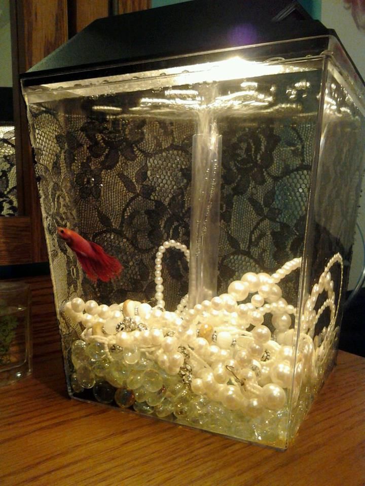 a glass box with pearls in it sitting on a table