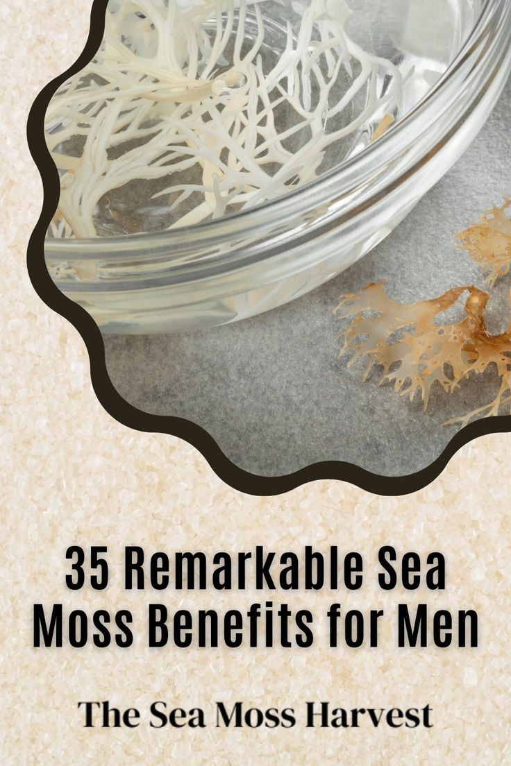 35 Remarkable Sea Moss Benefits for Men Simply On Purpose, Sea Moss Benefits, Benefits Of Sea Moss, Seamoss Benefits, Health Herbs, Living Simply, Health Guru, Irish Moss, Red Algae