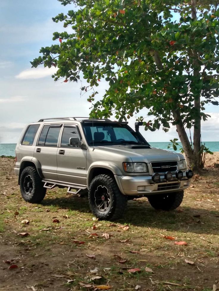 a silver suv parked under a tree near the ocean