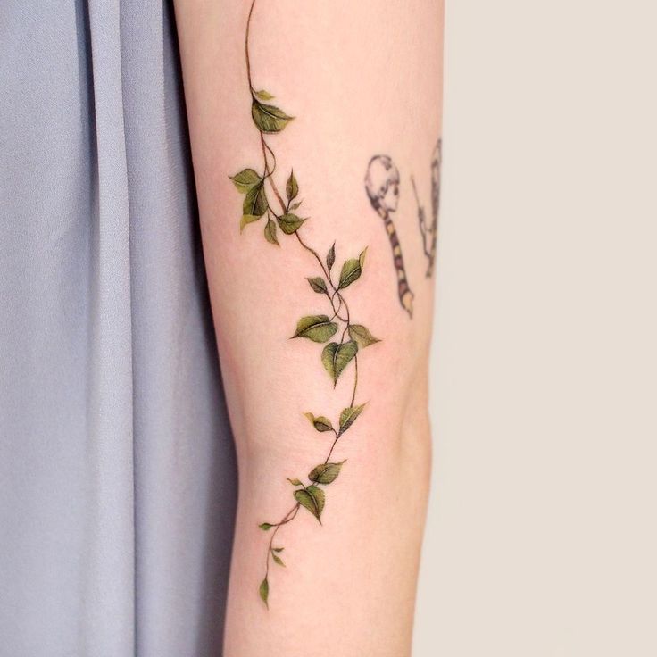 a woman's arm with green leaves on it and a snake tattoo on the side