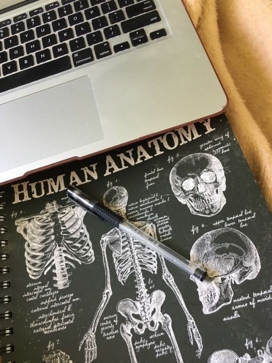 an open laptop computer sitting on top of a desk next to a human anatomy book