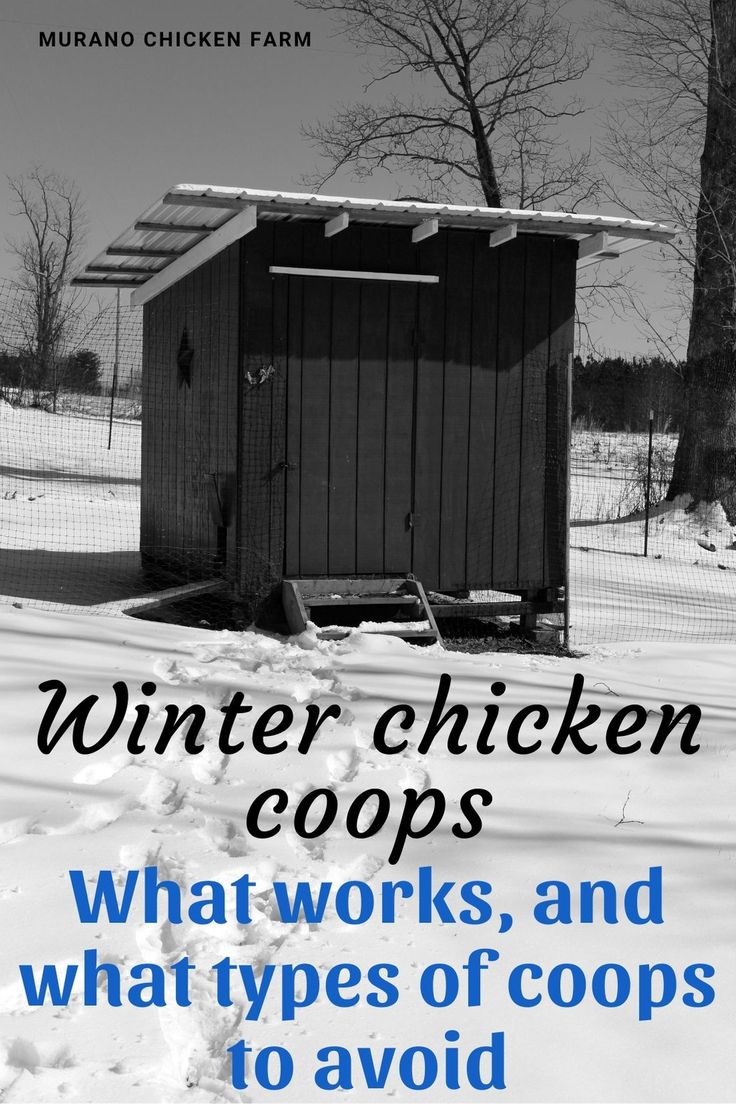 winter chicken coop coops what works, and what types of coops to avoid