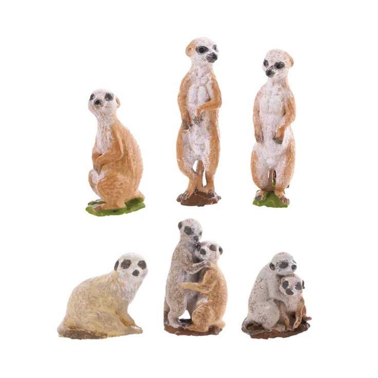 four different types of meerkats sitting on their hind legs and standing up