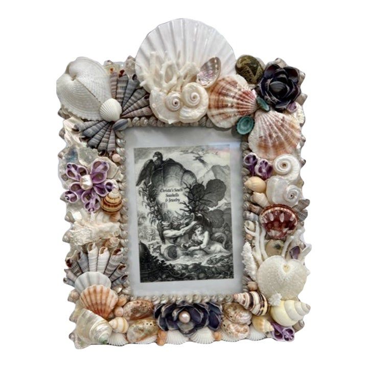 a frame with shells and seashells around it