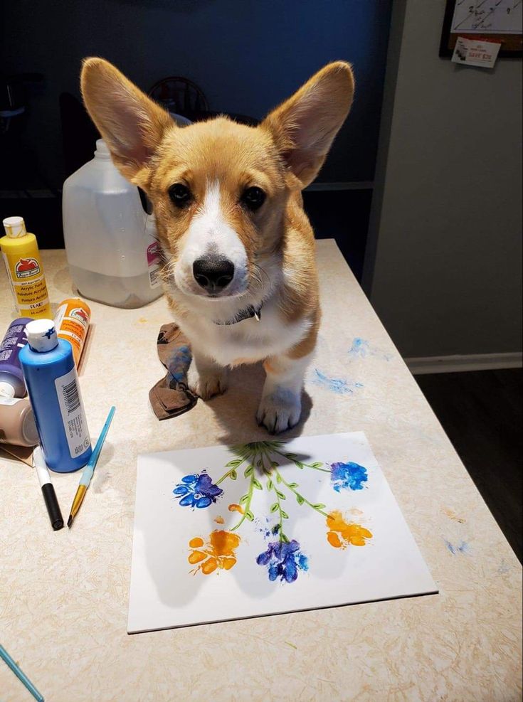 a small dog sitting on top of a table next to some paint and paper items