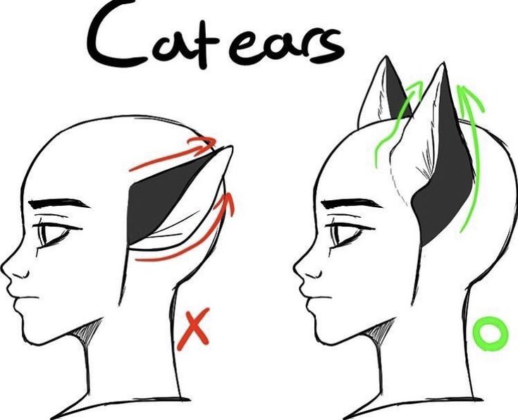 how to draw an egyptian cat's head