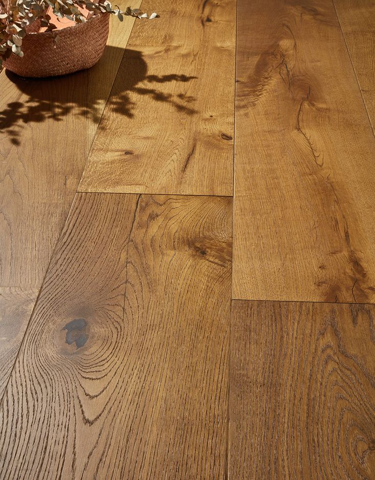 a wooden floor with a plant in the middle and some leaves on top of it