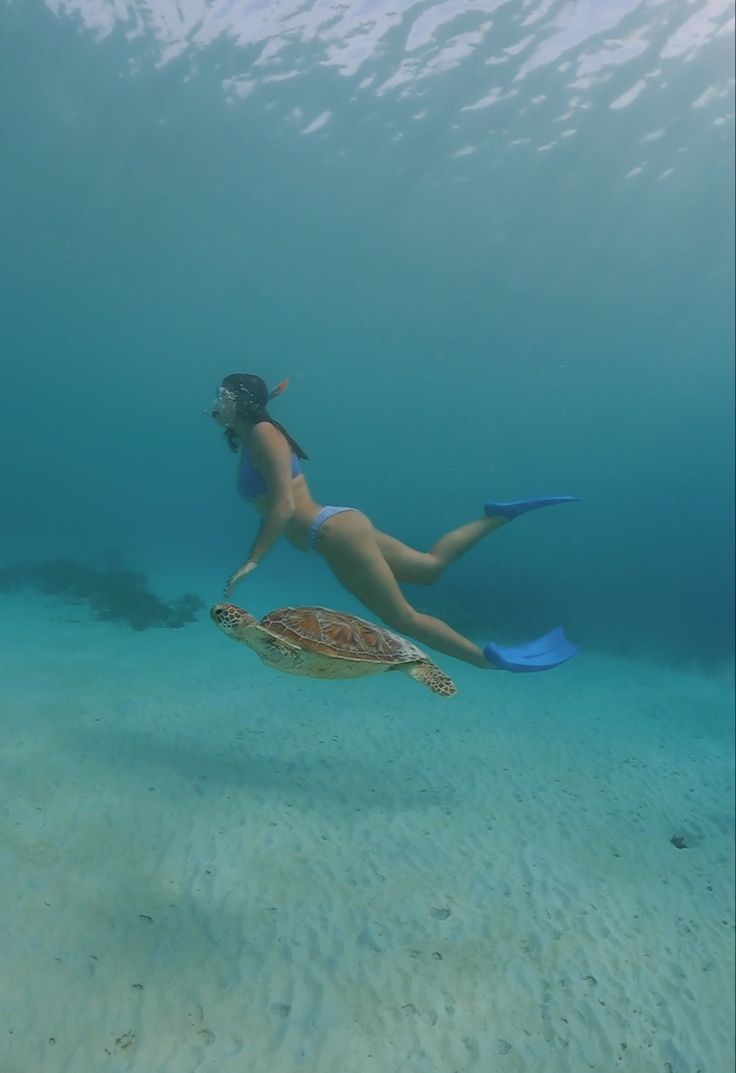 a woman swimming in the ocean with a turtle