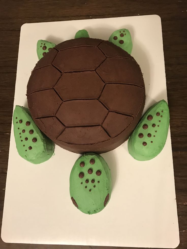 a cake shaped like a turtle with green and brown decorations