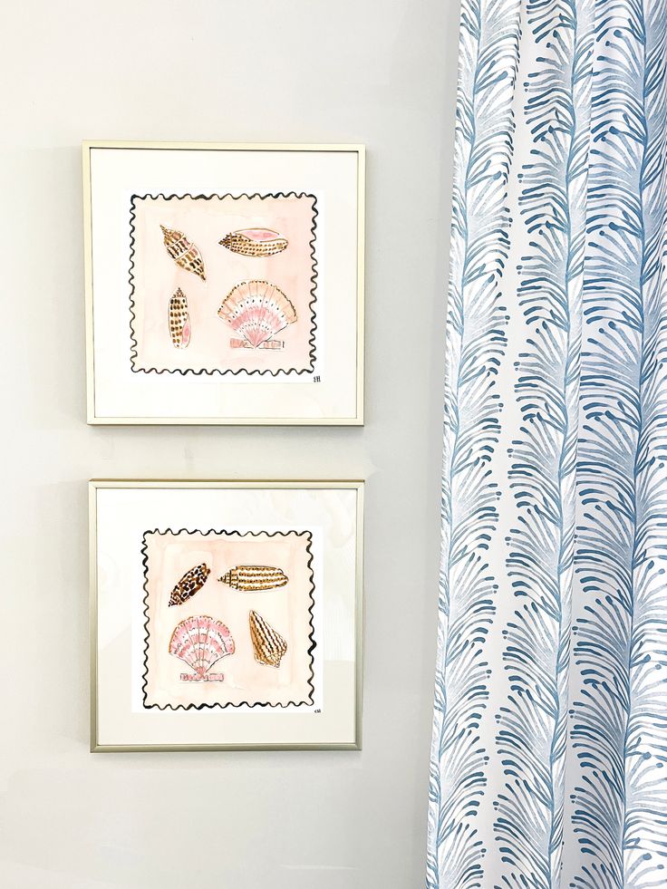 two framed seashells are on the wall next to a blue and white shower curtain