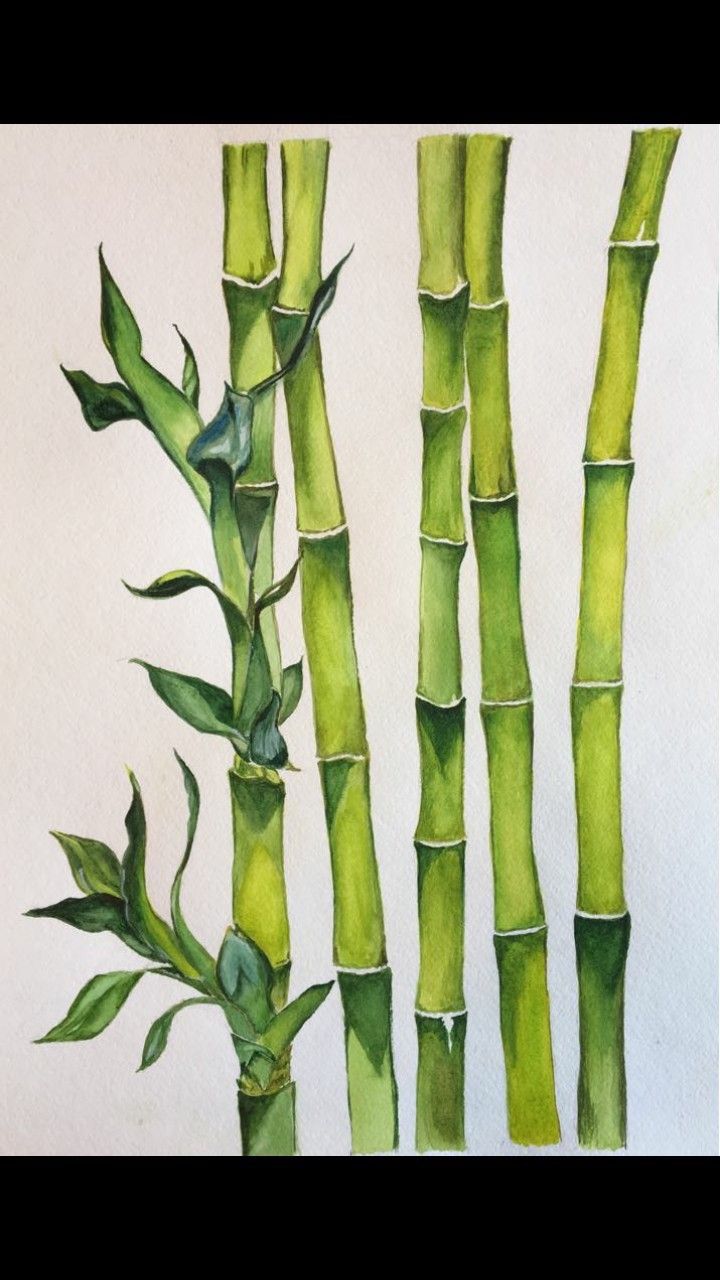 a painting of three green bamboos with leaves