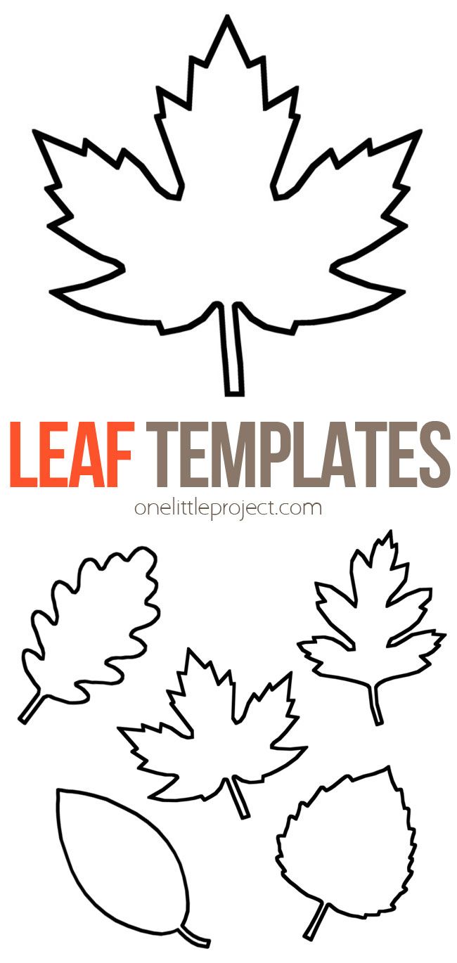 leaf templates for kids to color and print