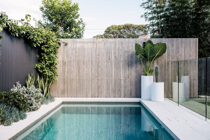 a small pool in the middle of a backyard with a wooden fence behind it and a potted plant next to it