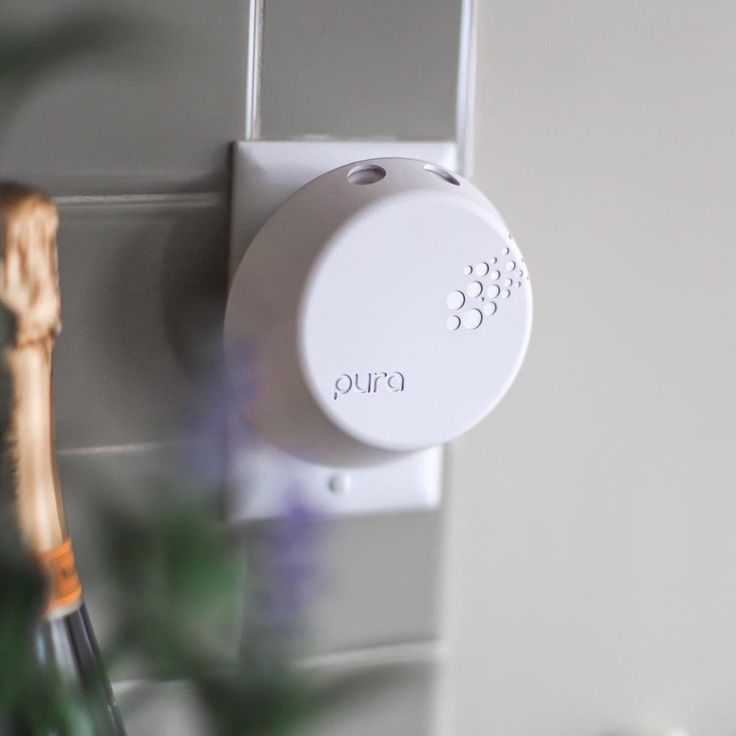 a toothbrush holder is mounted on the wall next to a toothbrush and brush