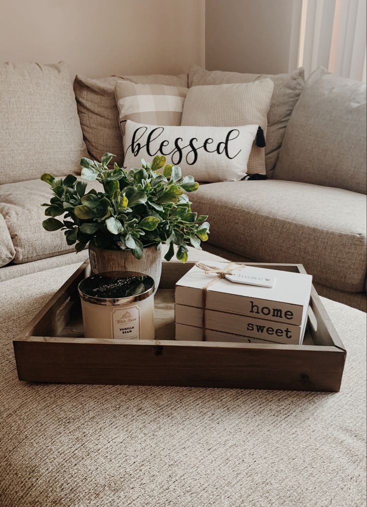 a living room with a couch, coffee table and plant on it's tray