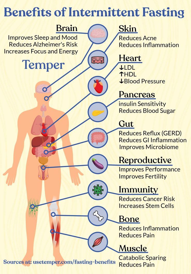 Intermittent fasting is the fastest-growing health lifestyle in the US. But what does the research say? We’ve dug into the research and assembled all the top benefits of intermittent fasting and outlined them system-by-system for the human body. Benefits Of Intermittent Fasting, 500 Calorie, Intermittent Fasting Diet, Improve Fertility, Healthy Body Weight, Fasting Diet, Sciatica, Health Facts, Intermittent Fasting