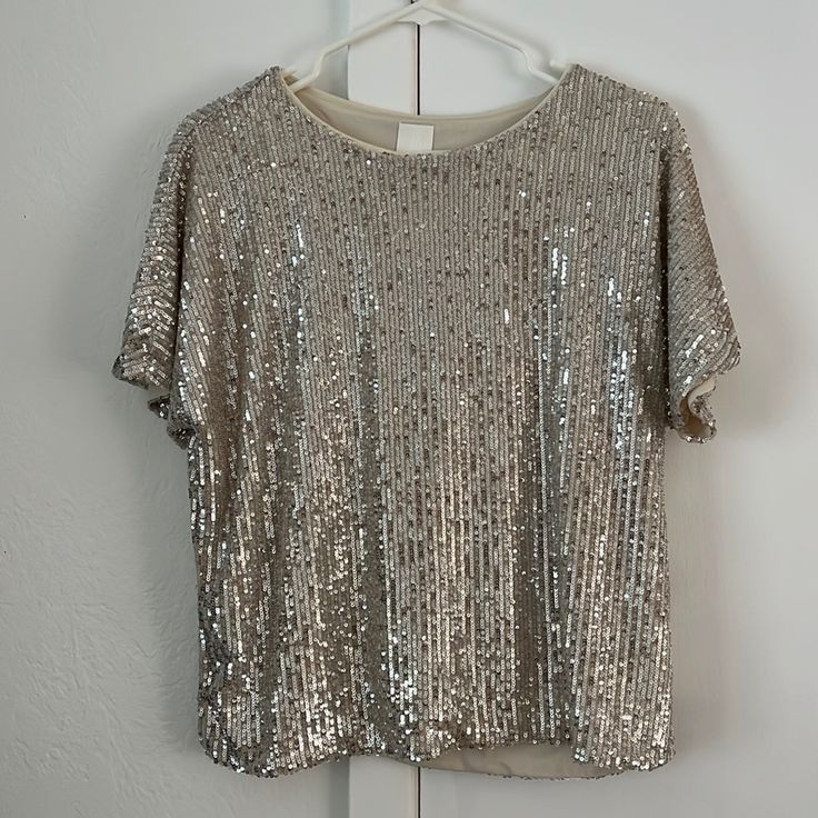 Brand New Without Tags. Never Worn. H&M Sequin Top. Silky On Inside, Soft And No Discomfort During Wear From Sequins. Perfect Statement Too For Date Night Or Special Occasion. True To Size Loose Fit. Silver Sequined Tops For Summer, Silver Sequin Tops For Evening, Holiday Silver Sequined Tops, Silver Sequined Short Sleeve Tops, Silver Sequined Tops For Festive Occasions, Festive Silver Sequined Tops, Elegant Silver Tops For Holidays, Holiday Silver Sequin Tops, Metallic Sparkling Summer Tops