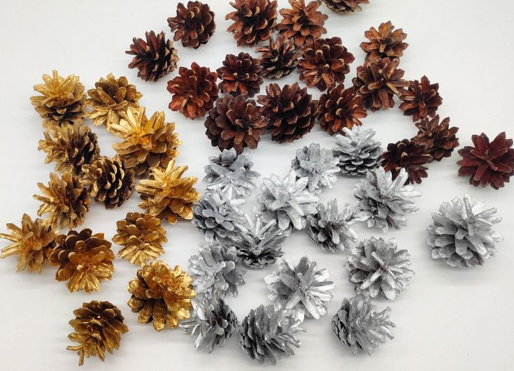 several different types of pine cones on a white surface with gold, silver and brown leaves