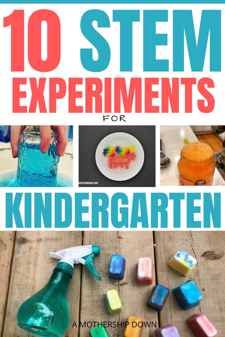 Experiments For Kindergarten, Stem Activities For Kindergarten, Cool Science Experiments For Kids, Kindergarten Science Projects, Kindergarten Science Experiments, Simple Stem Activities, Science Experiments Kids Preschool, Stem Activities Kindergarten, Kids Experiments