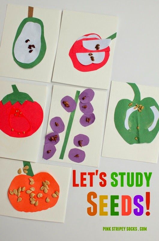 four pictures of different fruits and vegetables made from cut up paper with the words let's study seeds on them