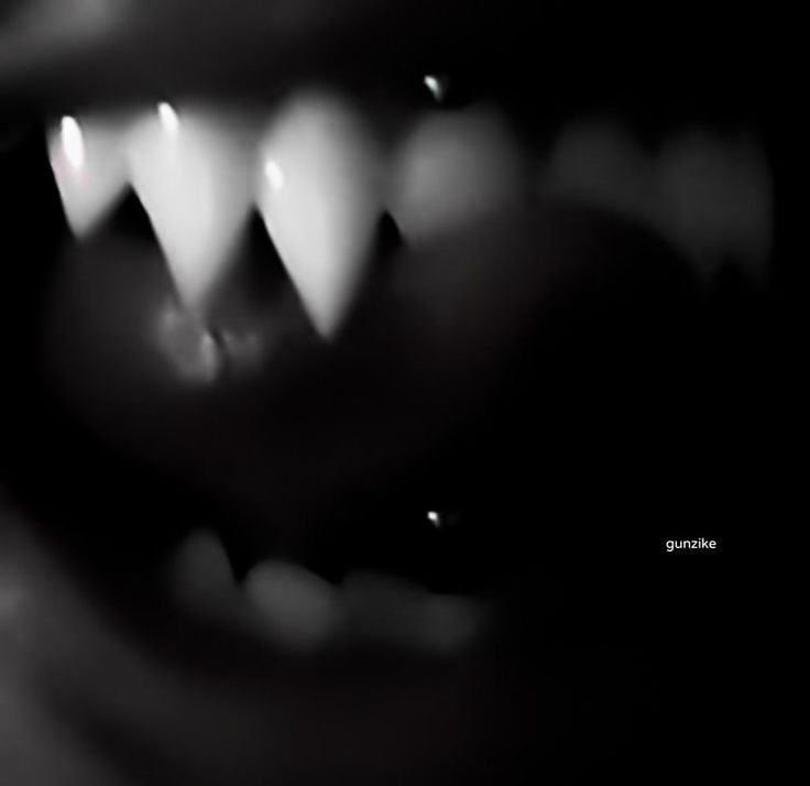 black and white photograph of teeth in the dark