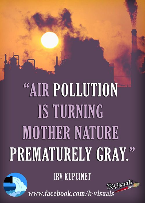 an image with the quote air pollution is turning mother nature prematrubly gray